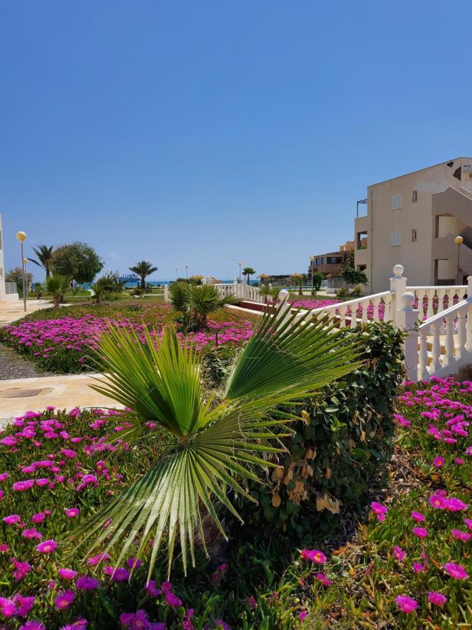 Apartamento Naturista En Primera Linea De Vera Playa!!! Las Bombardas Exterior photo