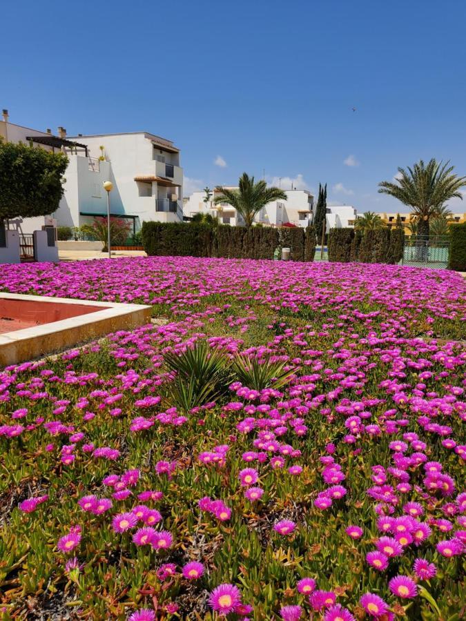 Apartamento Naturista En Primera Linea De Vera Playa!!! Las Bombardas Exterior photo